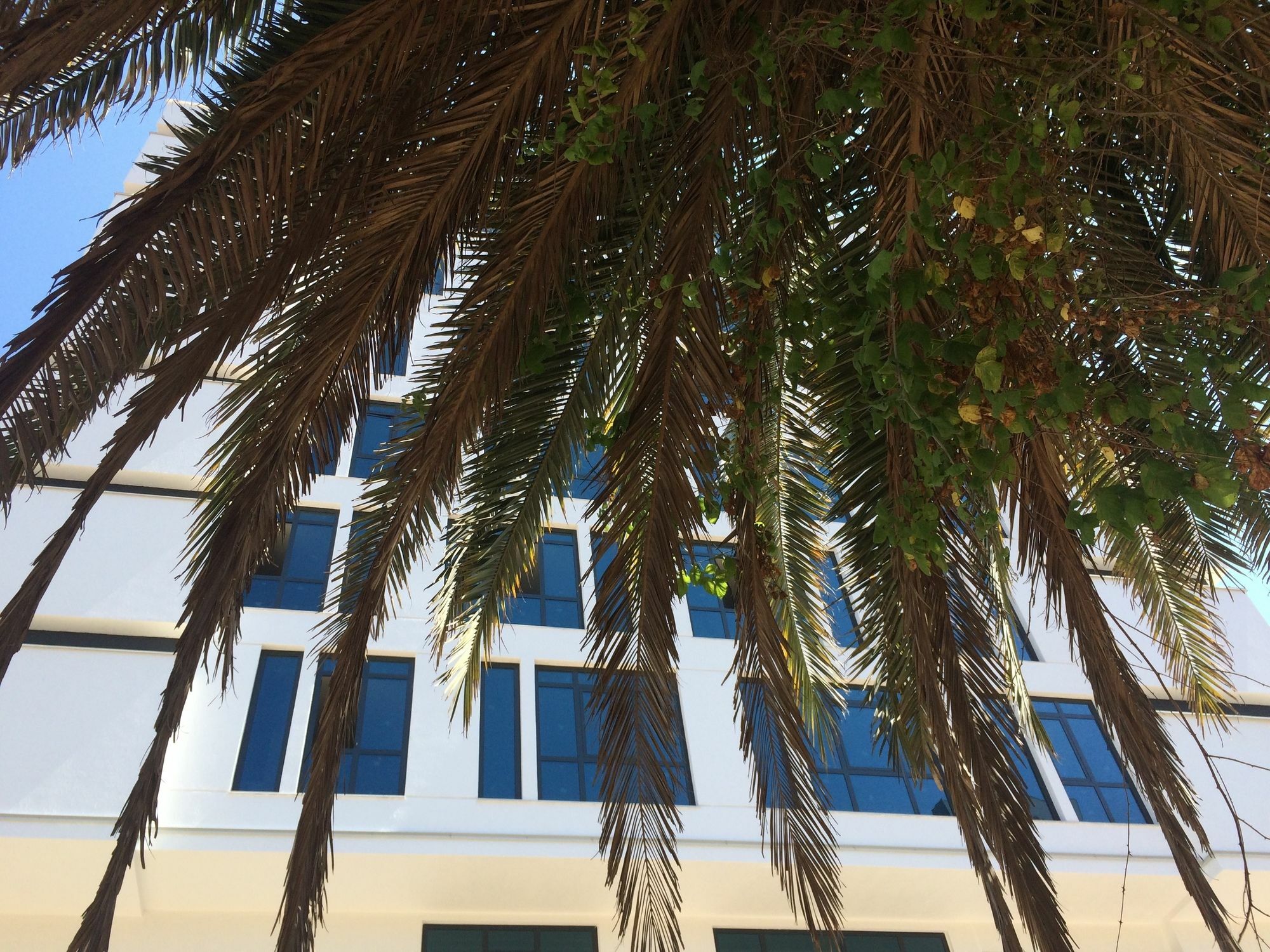 Aselia Hotel Trabzon Exterior photo